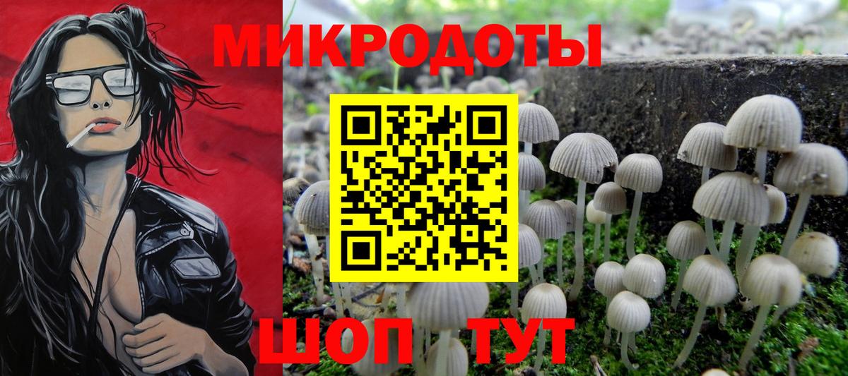 Узловая  Галлюциногенные грибы MAGIC MUSHROOMS  Вход с VPN 