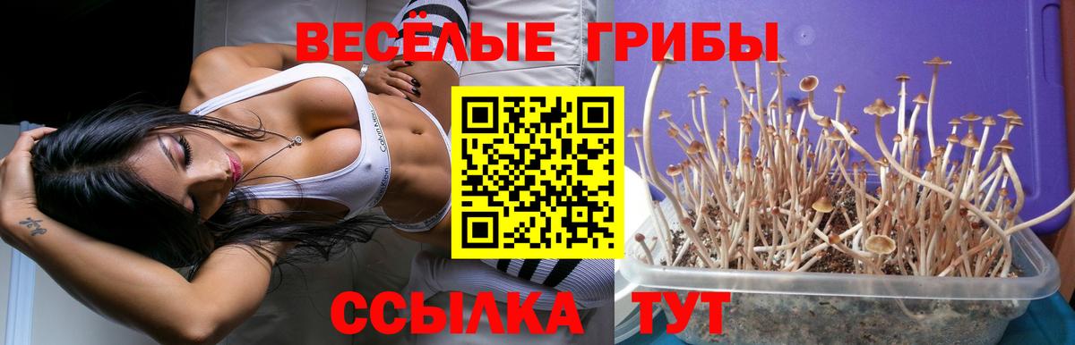Псилоцибиновые грибы мухоморы Узловая